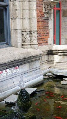 Bubbling Fountain 5-31-2019