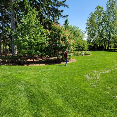 Clarence E. Lewis Landscape Arboretum