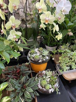 Burlingame LaGuna Florist