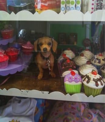 You'll never know what you'll find on the shelves @