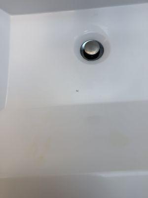 One more fall out in the nest morning.