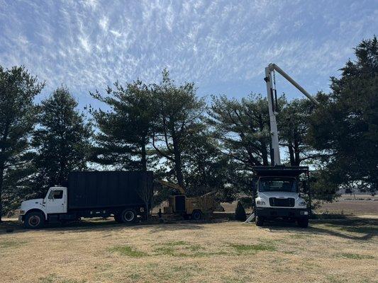 Tree trimming and removal in Owensboro, KY and the surrounding area.