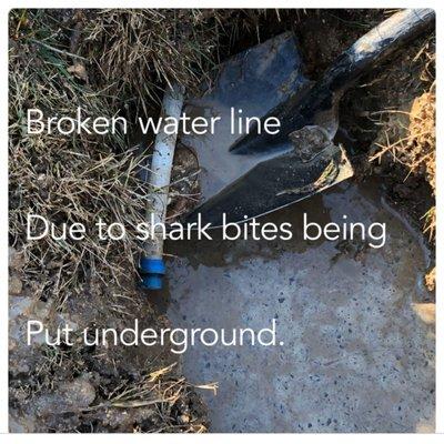 Repairing a water line that busted due to shark bites. The line it's self wasn't busted it came apart at the shark bite.
