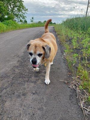 Farmington Prairie Waterway