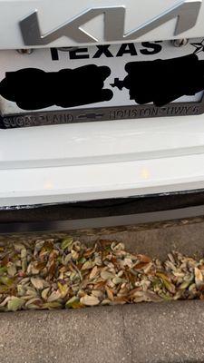 Sugarland Paint and Body