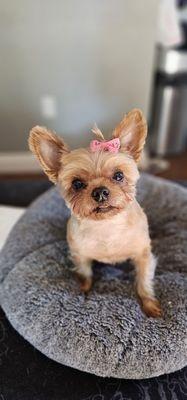 Was our 1st time trying Sydnee's & we couldn't be pleased. The staff were amazing & listened to our suggestions. We highly recommend.