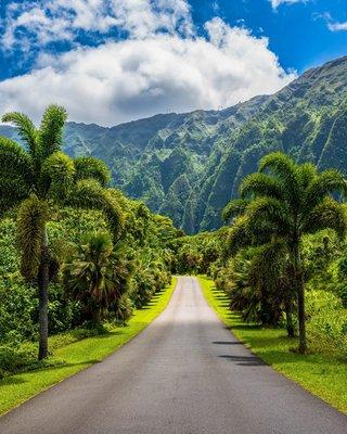 Chris Landscaping Service