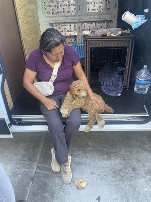 Meeting pup in the van