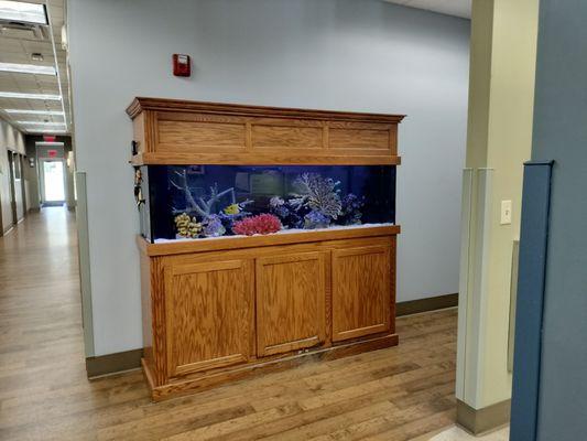 Gotta have the fish tank at the dentist!  My kids used to love looking at the fish.