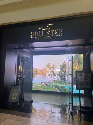 Hollister Co.