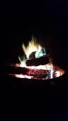 Tarka's Whitewater Journey