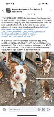 When I first realized she was dumped, I posted everywhere to see if anyone was looking for her.