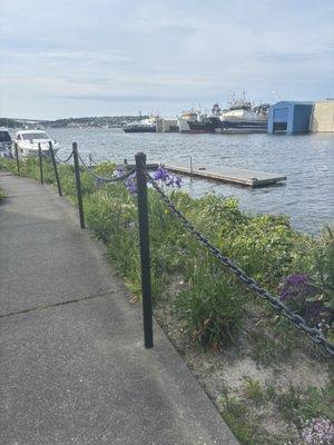 Cheshiahud Lake Union Loop