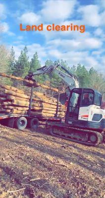 J&M Tree & Excavating