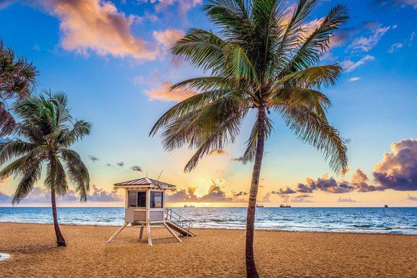 Brevard Sunshine Movers