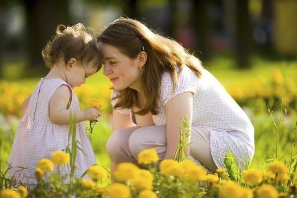 Working Solutions Nanny Agency