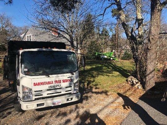 Barnstable Tree Service