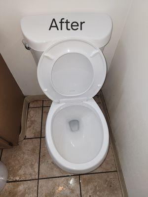 The Friendly Neighbors