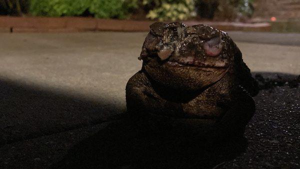 Ben Hill Middle School