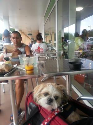 Outdoor seating for Mocha and all the pet friends!