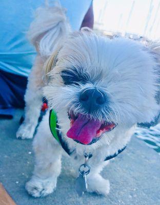 Clearwater Harbor Marina