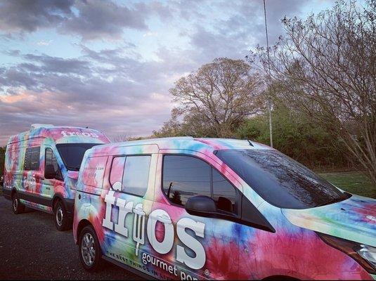 Frios Gourmet Pops of the Triad