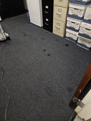 Little Women With A Mop