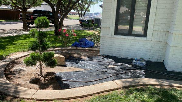 Creative Care Tree & Landscaping