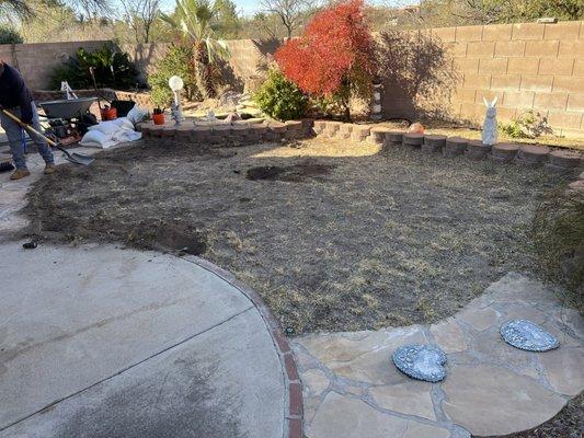 backyard before our turf installation...