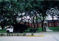 Espinoza Tree Service Inc