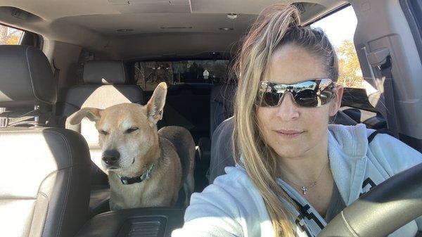 True Dentistry - Las Vegas