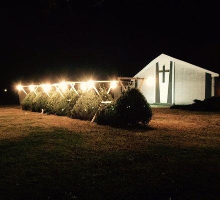 Calvary Christmas Trees are the best!