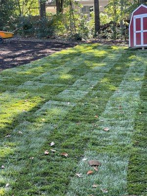 Aventura Tree Services