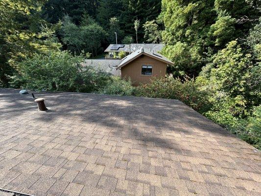 Vibrant Lawns & Exteriors