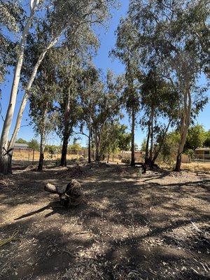 Leo’s Landscape Development and Lawn Maintenance