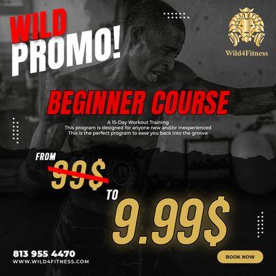 Beginner Course