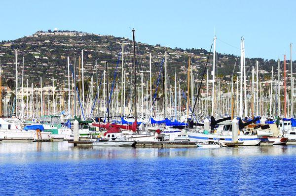 CabrilloLandingChiropractic.com #DoctorZo
#CabrilloLandingChiropractic
#DoctorZo #SanPedro #DrZo #SouthBay