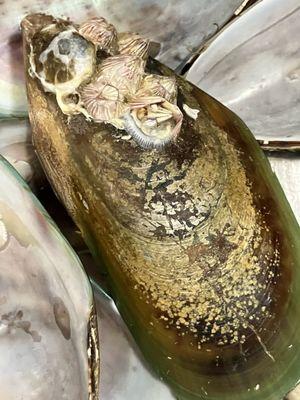 Mong Kok Supermarket 歐江超級市場