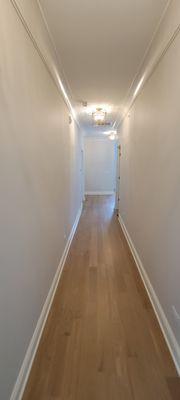 AD Painting and Decorating