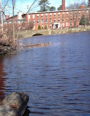 Museum is in the mill over the Concord River. The iron ring in the foreground anchored a floating tow path for horse drawn canal boats