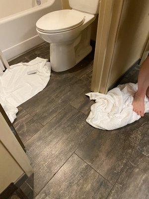 The entire entryway and bathroom floors were filthy!