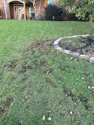 Thompson Lawn and Sprinkler