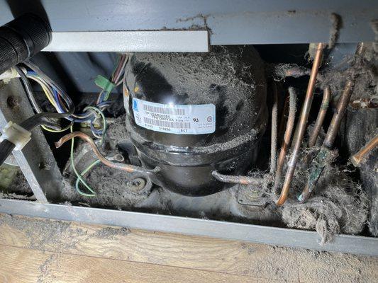 Refrigerator repair and cleaning