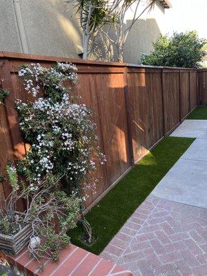 ForeverLawn Pacific Coast