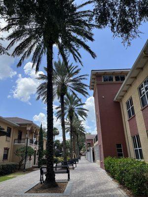 Southeastern University