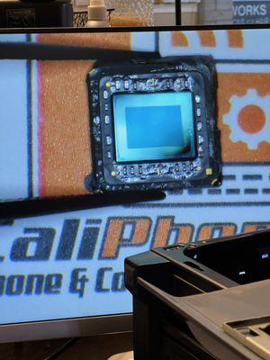 CaliPhonia Phone & Computer Repair