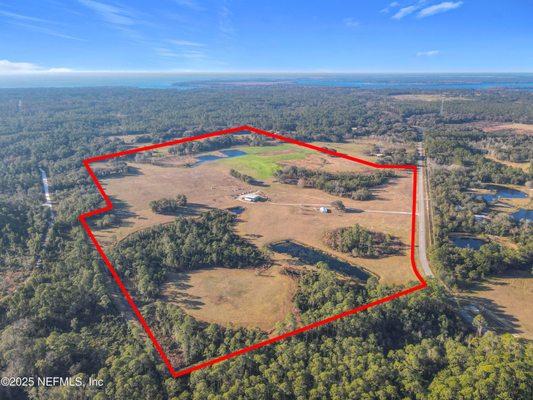 Dianne Pittman - Iheart Realty