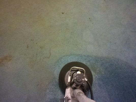 Class Act Carpet Cleaning