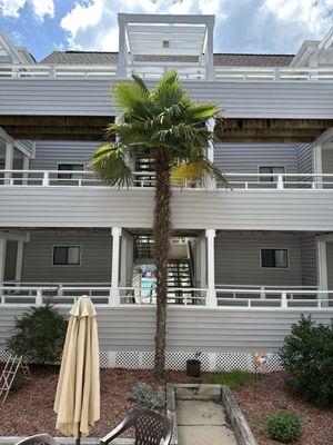Arcadian Dunes 04-315