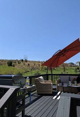 Sherwin Williams Black Alder